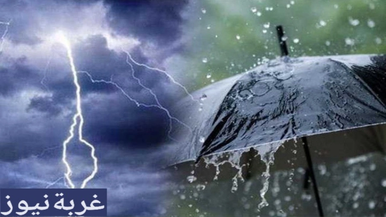 أمطار ورياح.. الأرصاد الجوية توضح حالة الطقس المتوقعة غدا السبت في مصر